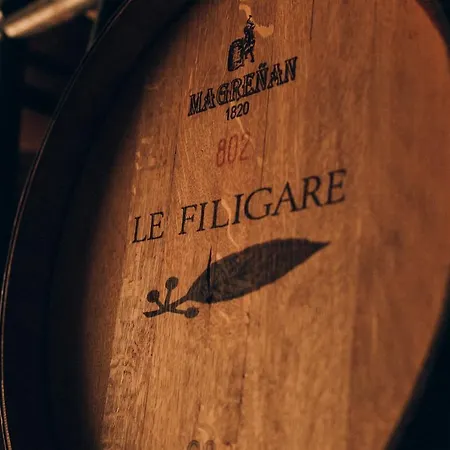 Le Filigare Winery & In Chianti