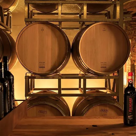 Le Filigare Winery & In Chianti *